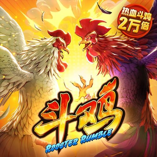 赛酷体育手机版