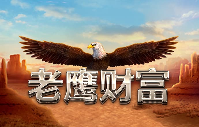 24小时精准计划网页版